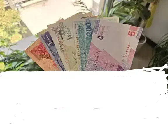 شریک سرمایه گذار لازم دارم|خدمات مالی، حسابداری، بیمه|زاهدان, |دیوار