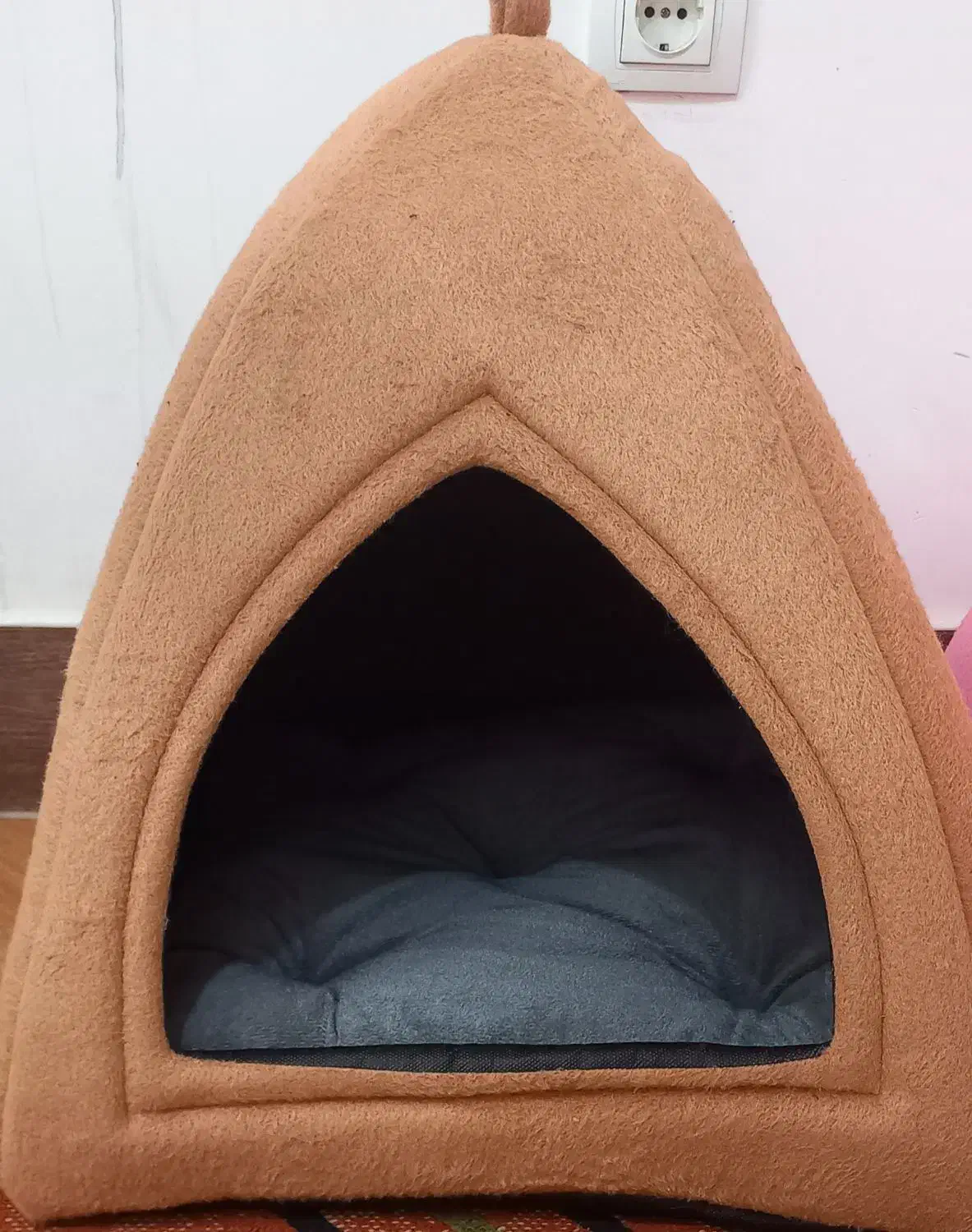 خانه مناسب سگ و گربه|لوازم جانبی حیوانات|بجنورد, |دیوار