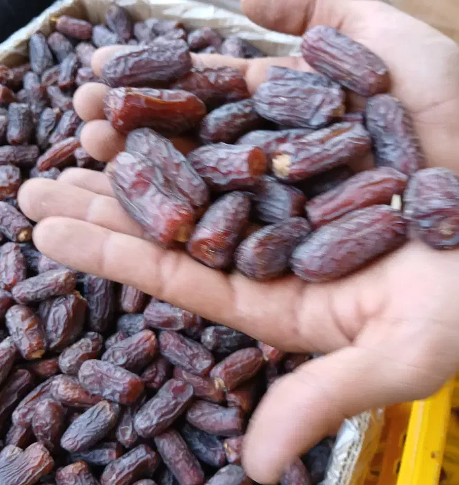 خرمای پیارم باکیفیت|خوردنی و آشامیدنی|تهران, منیریه|دیوار