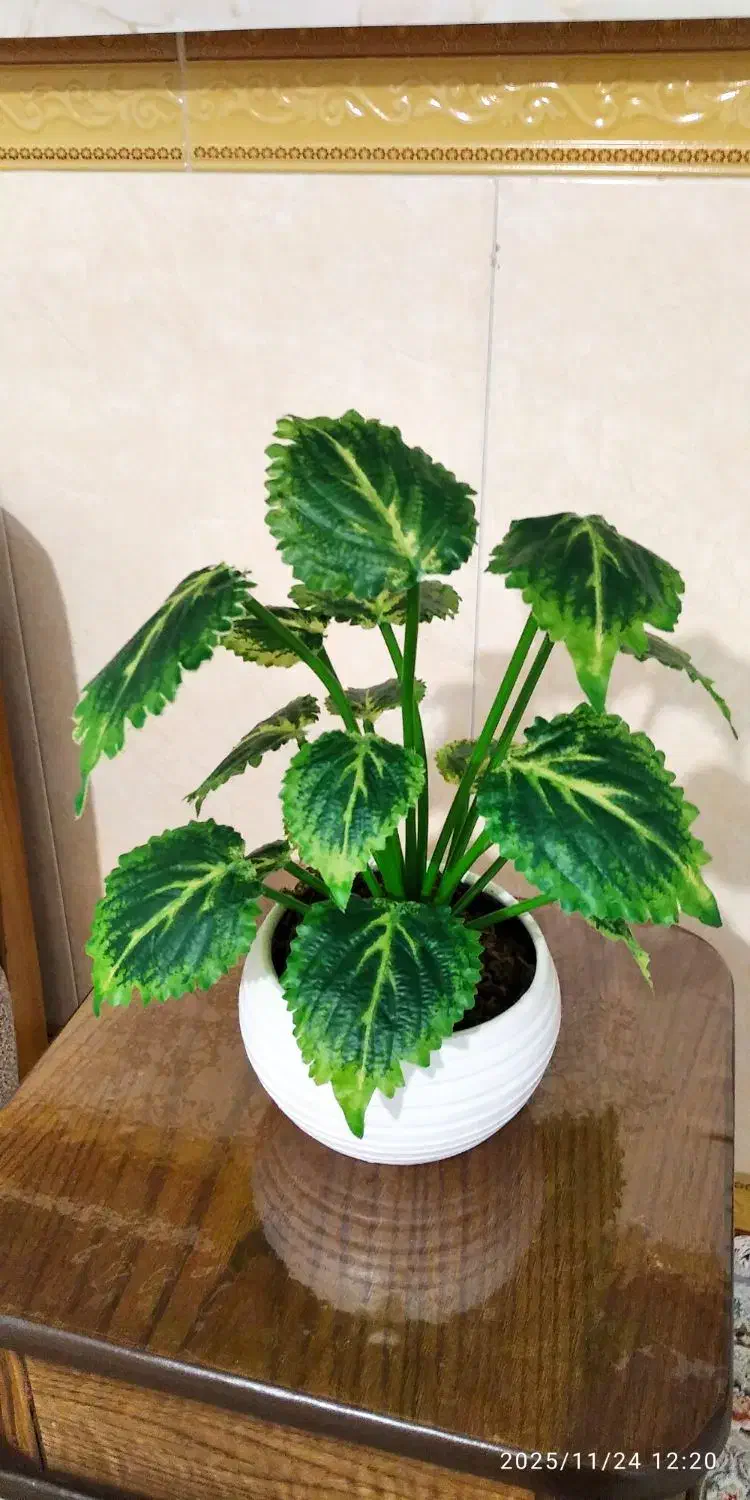 روفرشی|روفرشی|مشهد, پورسینا|دیوار