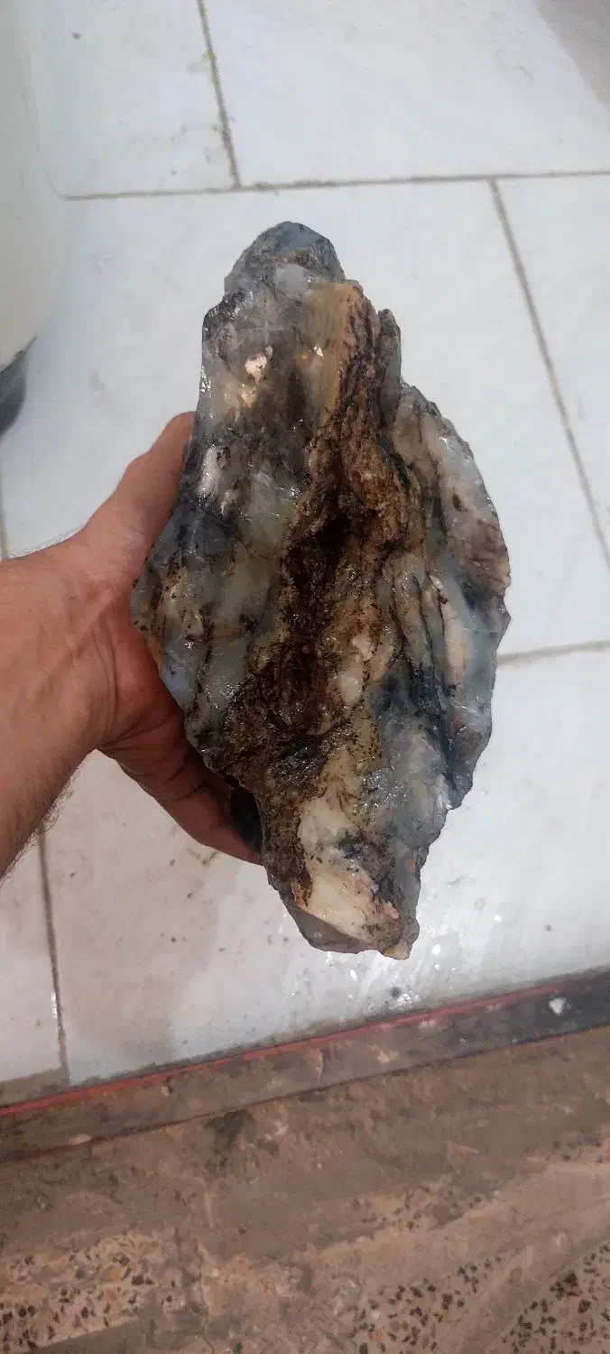 شجر|جواهرات|بیرجند, |دیوار