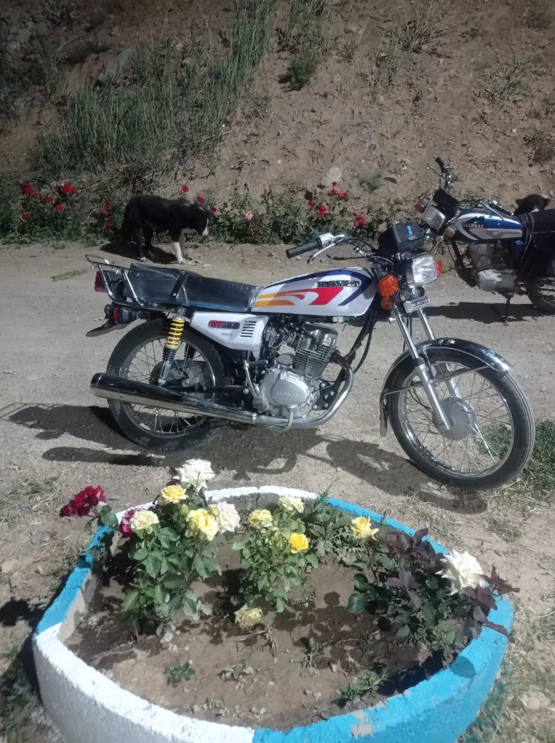 موتور کویر خشک|موتورسیکلت|داران, |دیوار