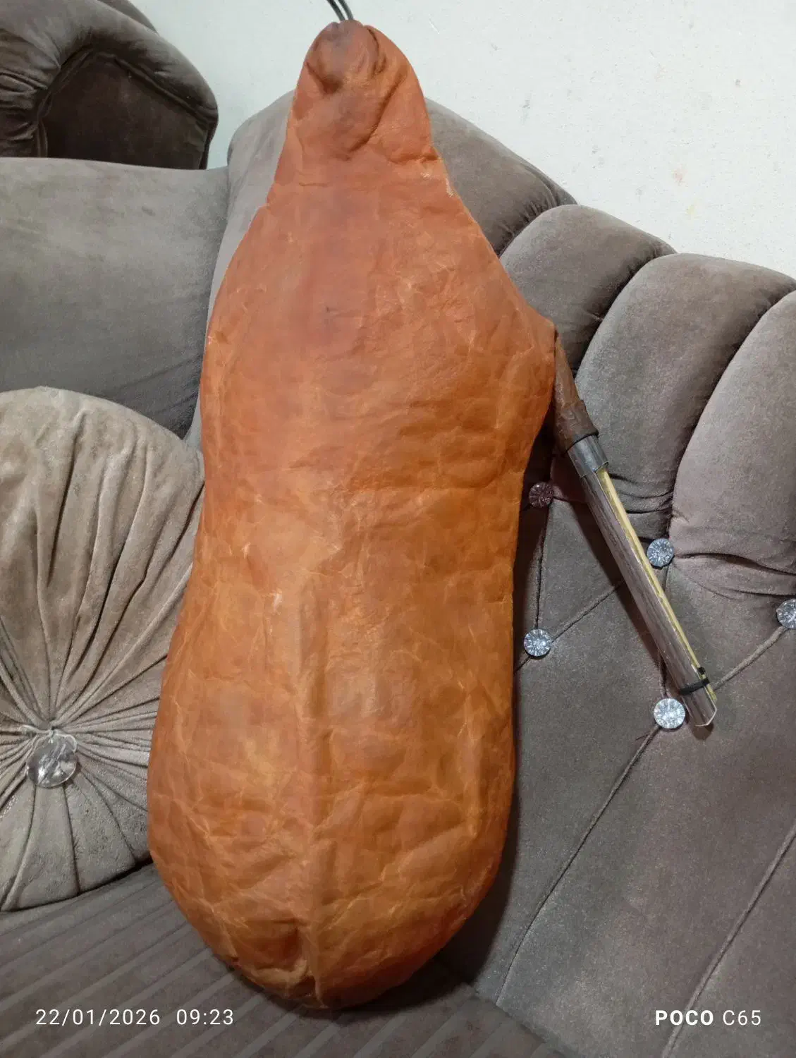 نی انبان|سازهای بادی|زرقان, |دیوار