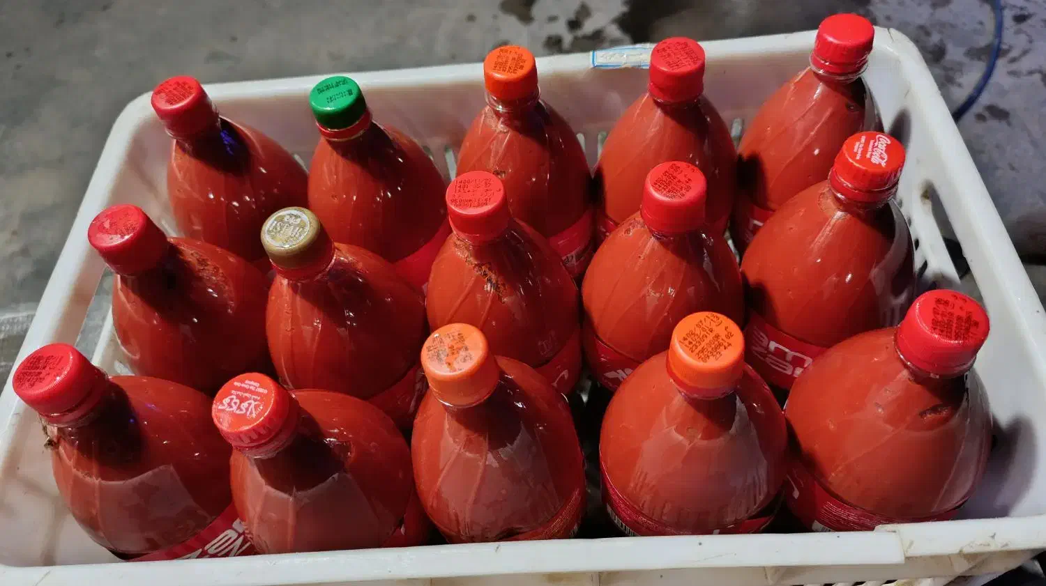 رب محلی|خوردنی و آشامیدنی|موچش, |دیوار