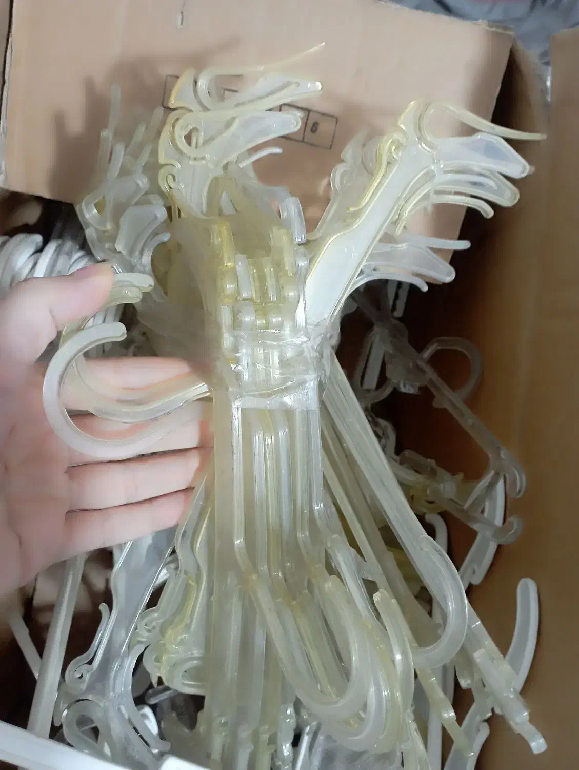 چوب لباس بچگانه|بندرخت و رخت‌آویز|شوشتر, |دیوار