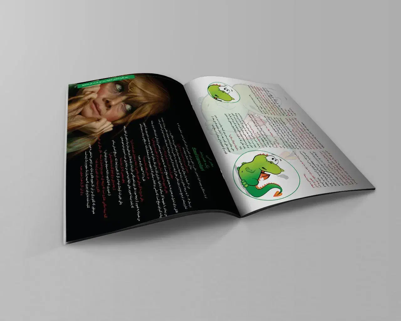 صفحه آرایی کتاب|خدمات رایانهای و موبایل|گلستان (تهران), |دیوار