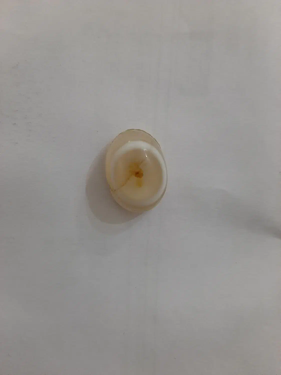 باباقوری|کلکسیون اشیاء عتیقه|کرج, اصفهانیها|دیوار