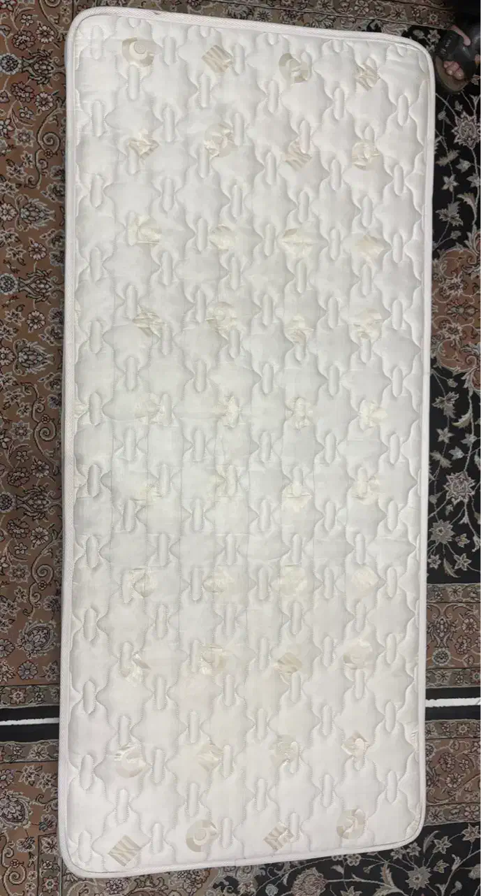 تشک خوشخواب نوجوان ویستر خیلی تمیز|تخت و سرویس خواب|ری, شهرری|دیوار