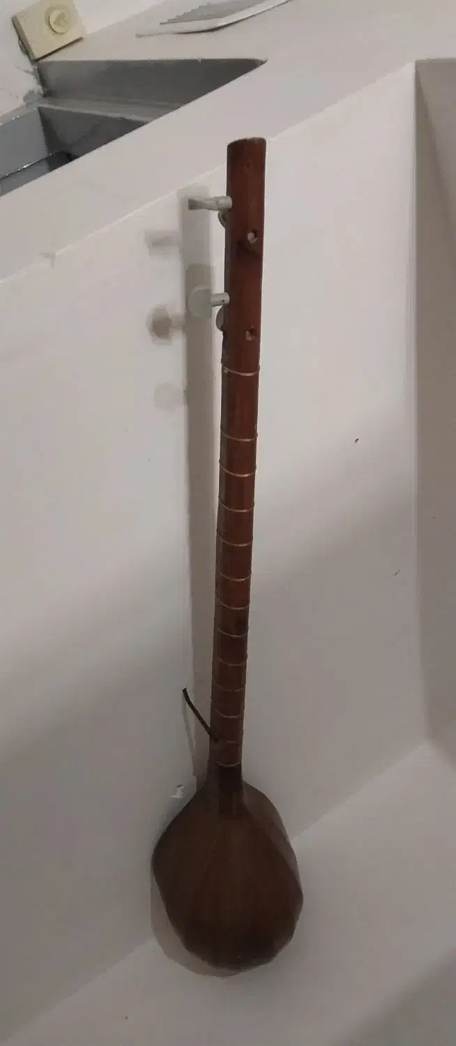 سه تارتظینی|سازهای سنتی|کاشمر, |دیوار