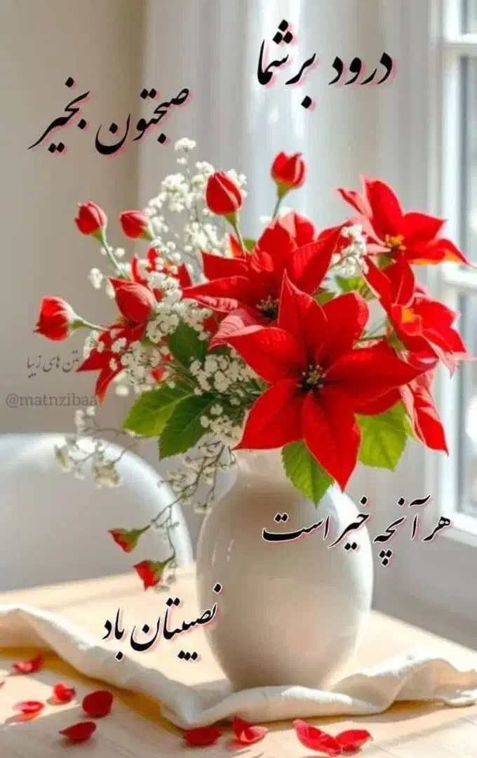 خ. ی ر|فعالیت داوطلبانه|بوشهر, |دیوار