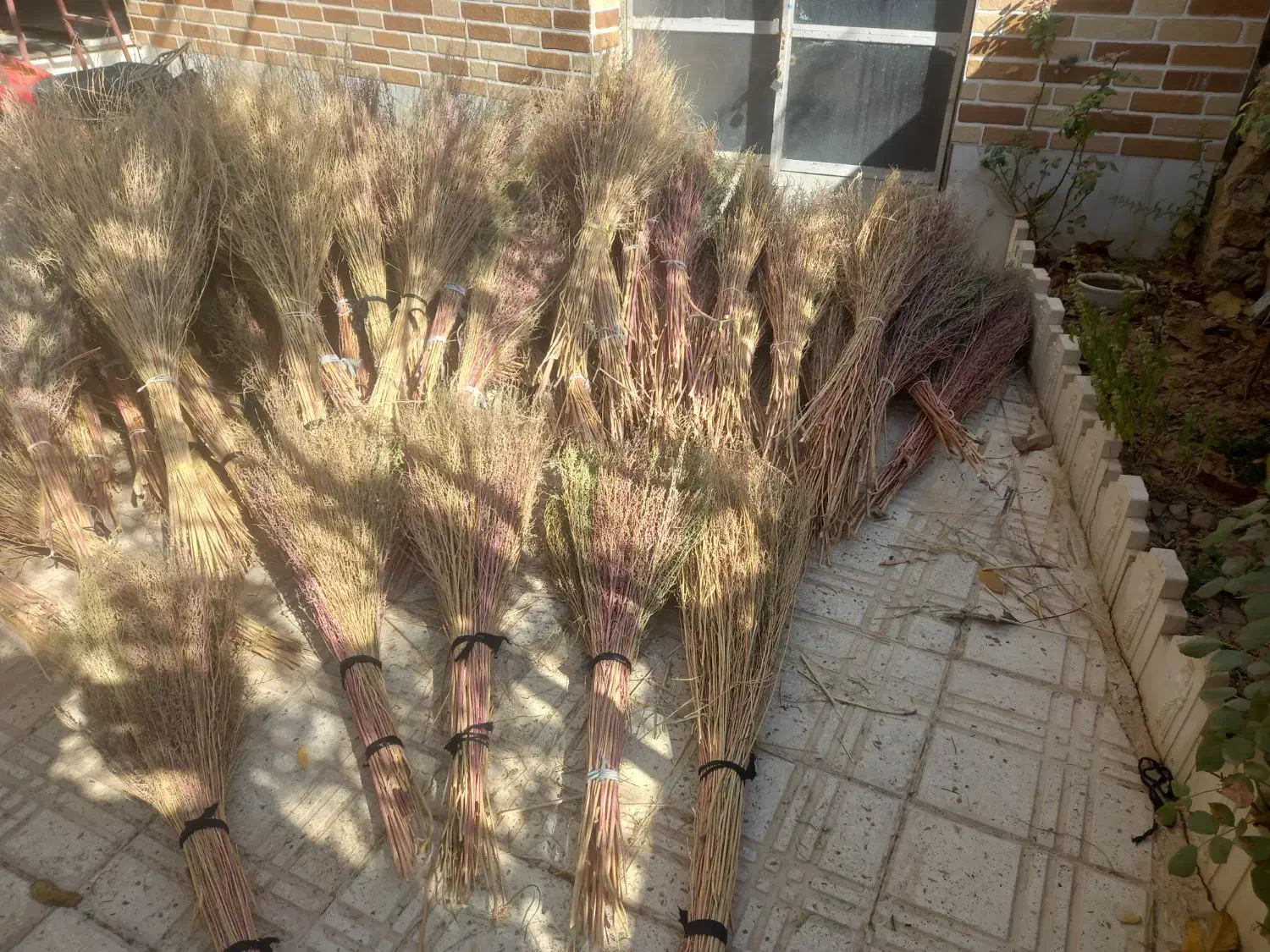 جارو چغندر درجه یک|عمدهفروشی|خانمیرزا, |دیوار