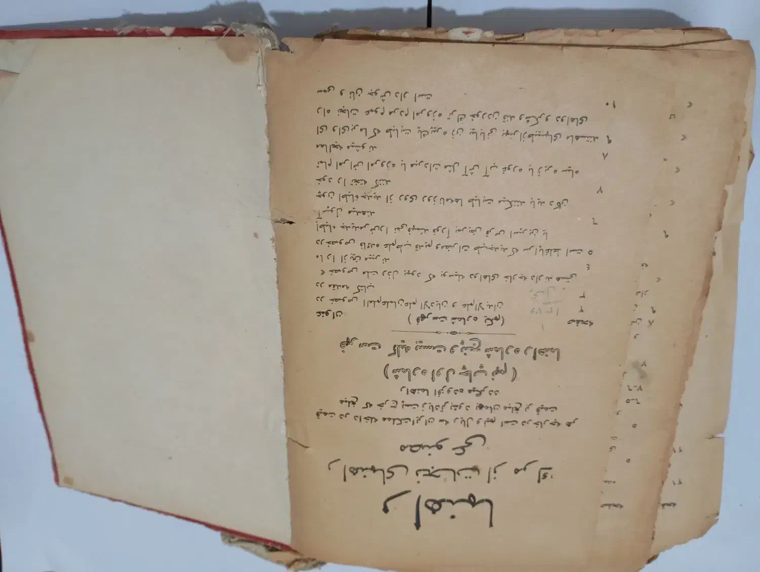 کتاب راهنمای نجات از مرگ مصنوعی|کتاب و مجله تاریخی|مشهد, رضاشهر|دیوار