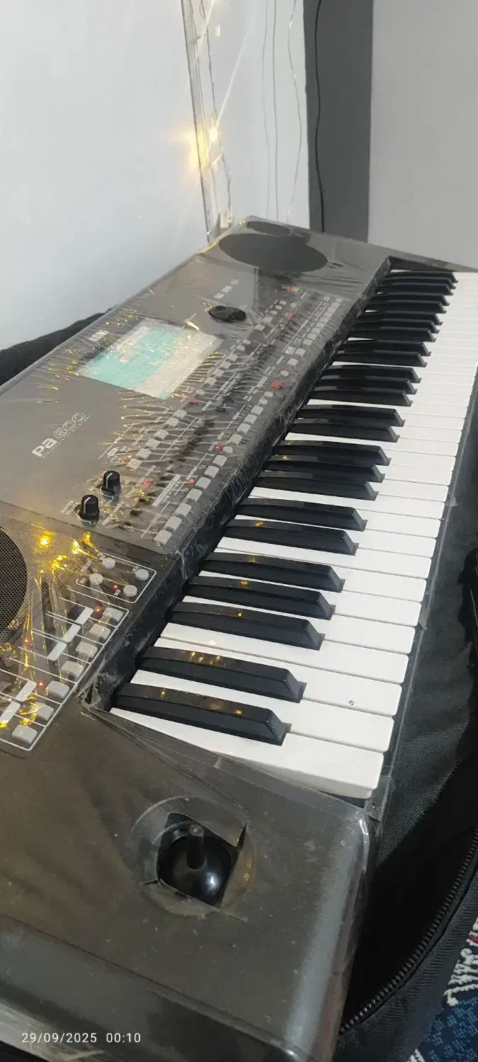 ارگ pa600|پیانو، کیبورد، آکاردئون|قیدار, |دیوار