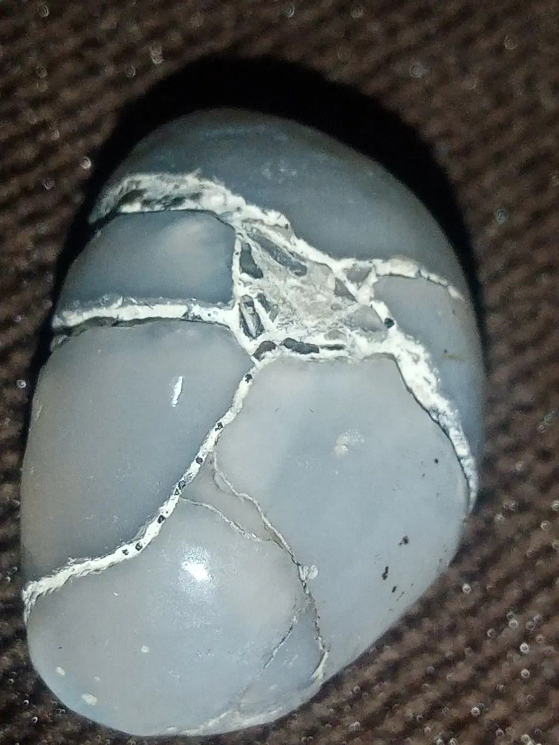 جواهر مروارید عتیقه که ازشکم ماهی دراومده|کلکسیون اشیاء عتیقه|اردبیل, |دیوار