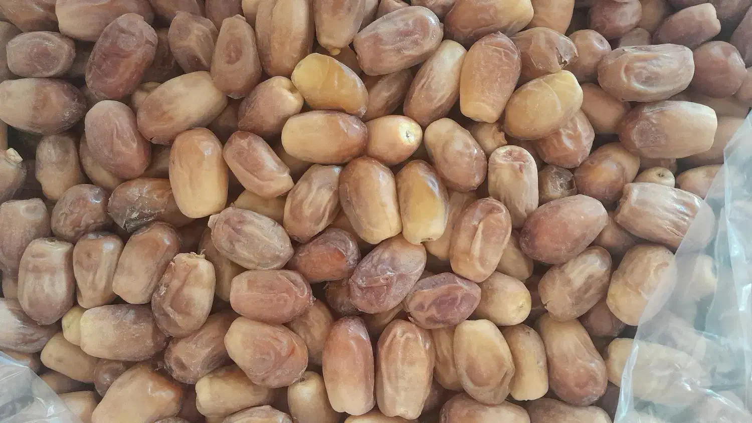 فروش خرما زاهدی قصب جهرم|عمده‌فروشی|قیروکارزین, |دیوار