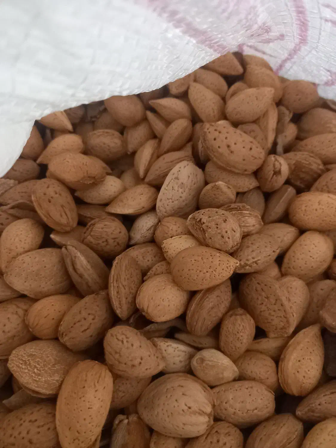 بادام ارگانیک|خوردنی و آشامیدنی|تاکستان, |دیوار