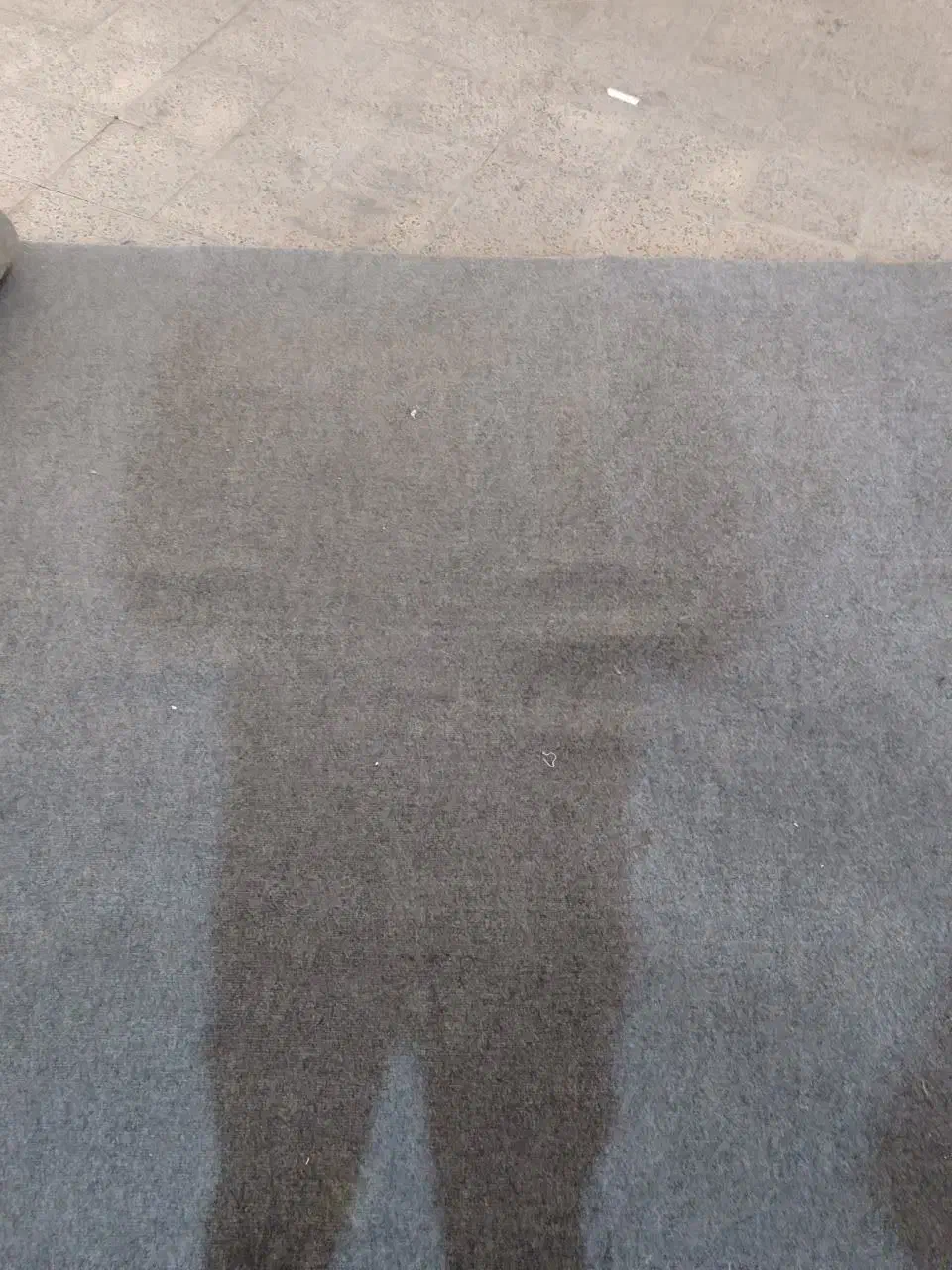 موکت|موکت|بروجرد, |دیوار