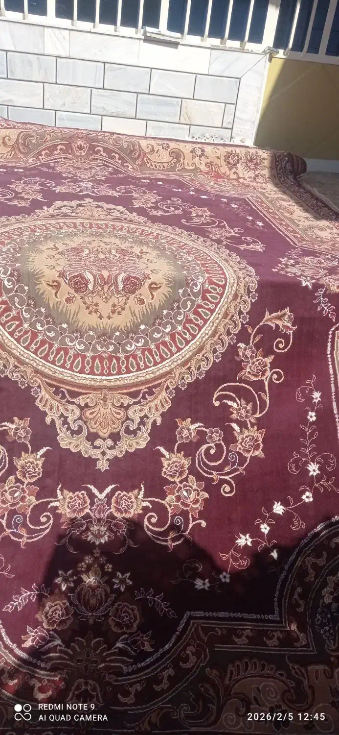 قالی 2عدد فروشی|فرش|لردگان, |دیوار