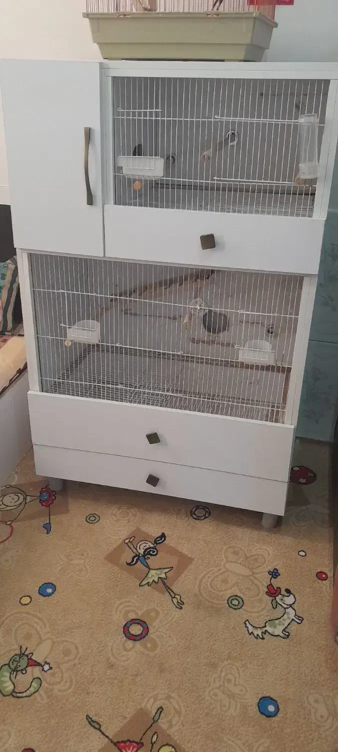 قفس پرنده بزرگ وجادار|لوازم جانبی حیوانات|مشهد, ترمینال|دیوار