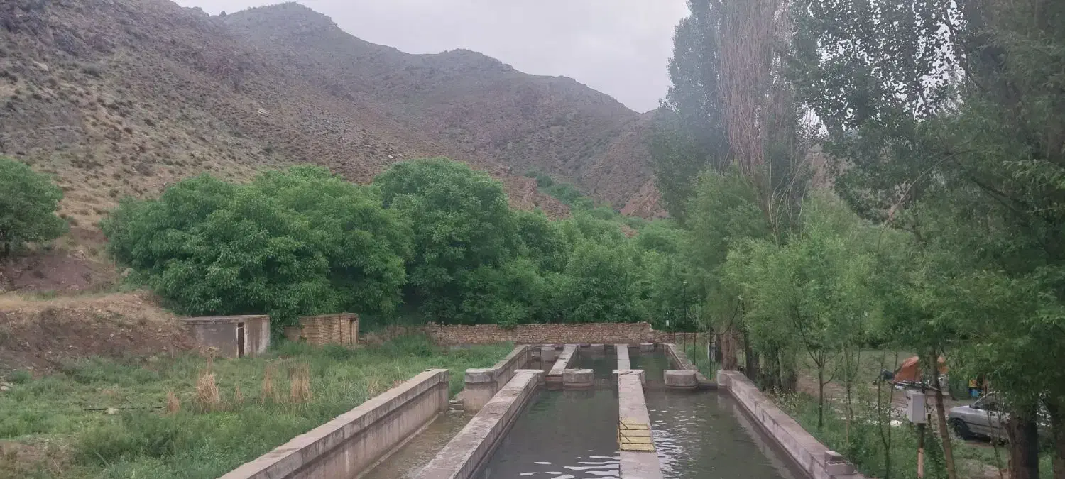 ماهی قزلآلا تازه ساده.سالمون مرغ،پوقلمون|ماهی|مشهد, شاهد (شهرک غرب)|دیوار