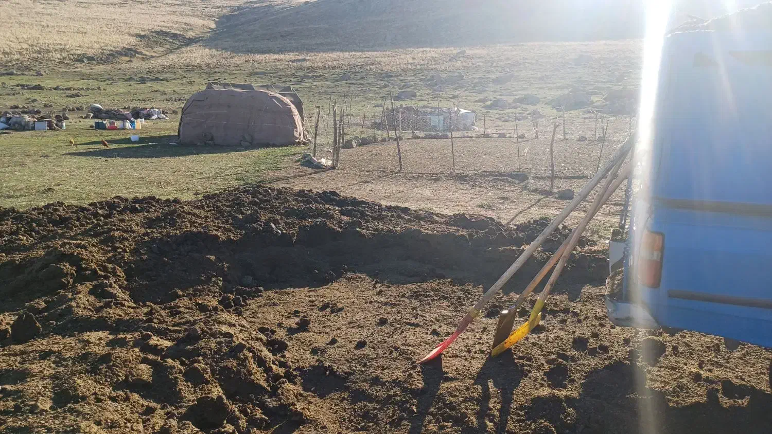 کود حیوانی برای کشاورزی|گل و گیاه طبیعی|مشگین شهر, |دیوار