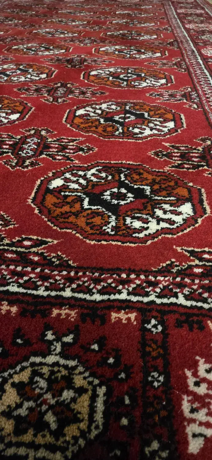 فرش دستباف ترکمن|فرش|گرگان, |دیوار