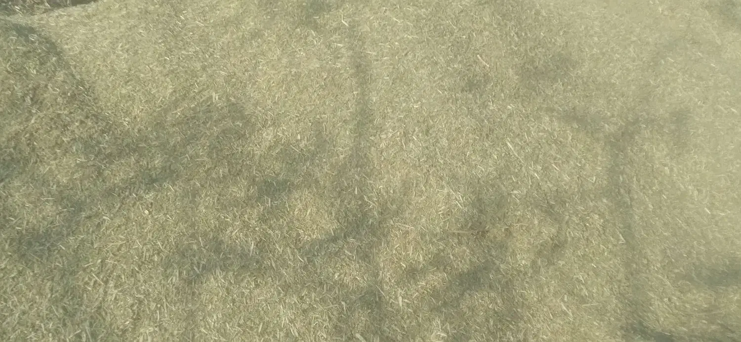 خار فروشی|لوازم جانبی حیوانات|میان جلگه, |دیوار