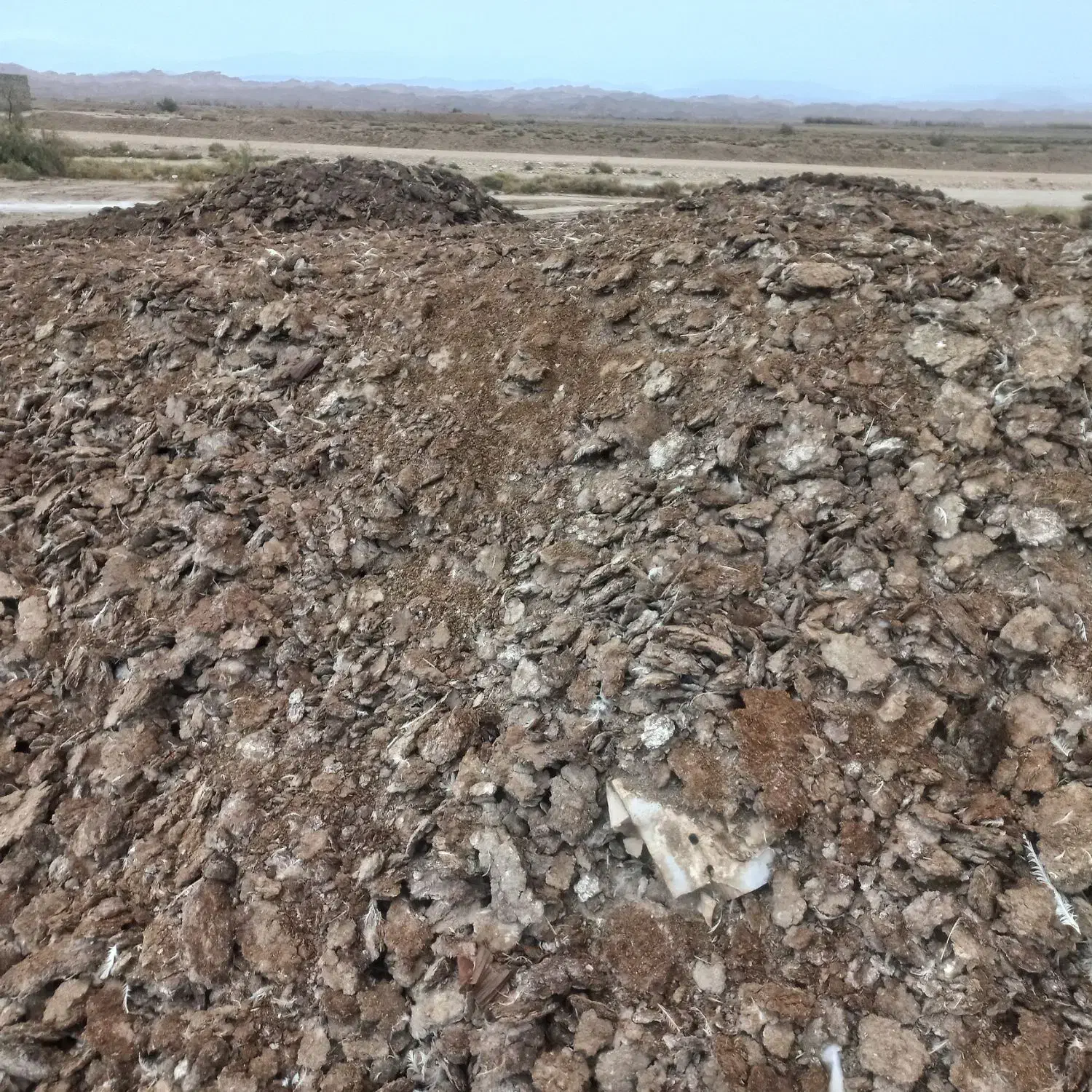 فضولات مرغ سالن|خدمات باغبانی و درختکاری|آبادان, |دیوار