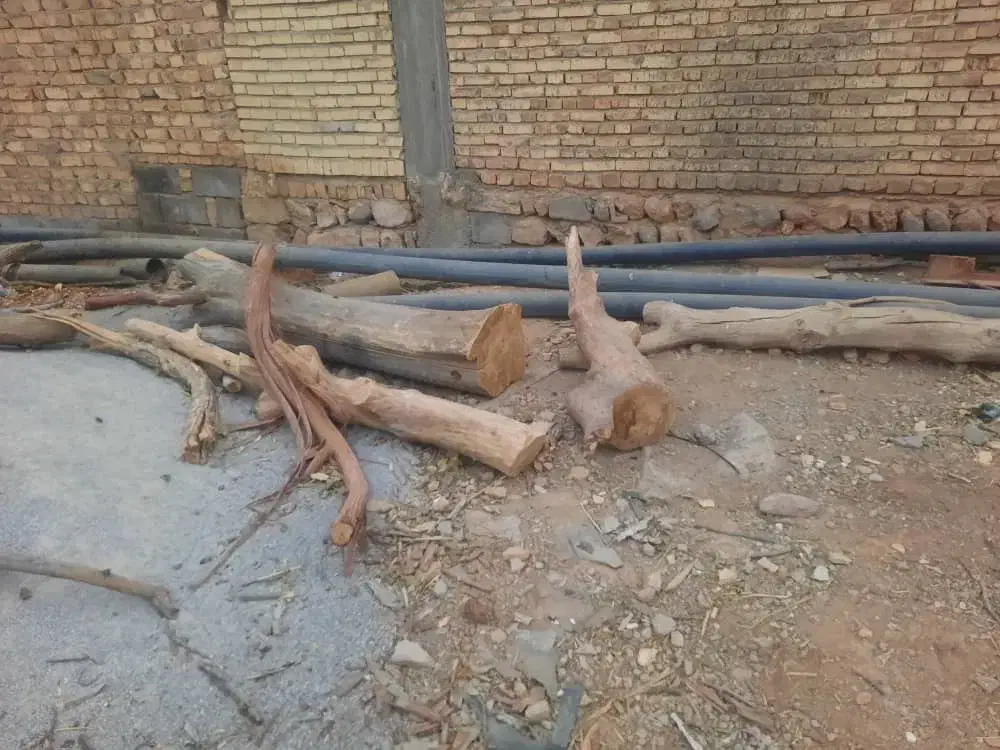 چوب خشک زغالی|خدمات باغبانی و درختکاری|خانمیرزا, |دیوار