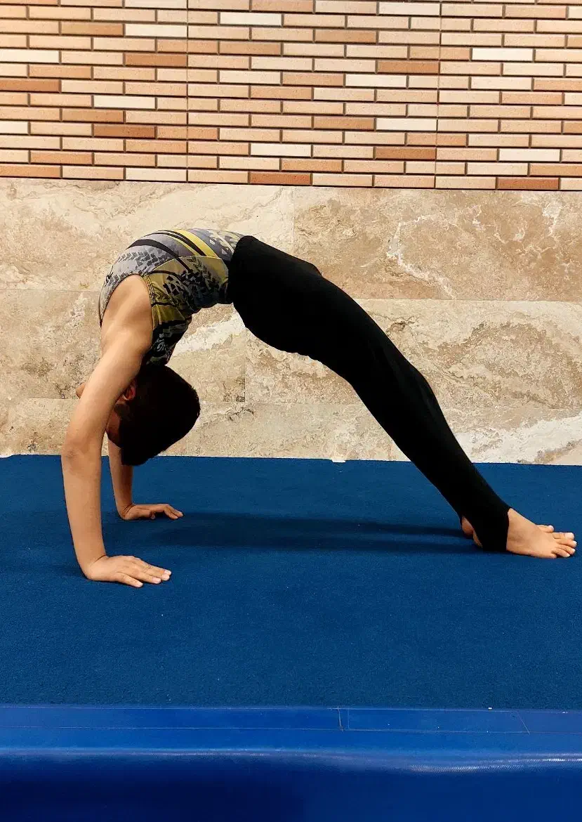 آکادمی ژیمناستیک آناژیم|خدمات آموزشی|کاشان, شهرک فرهنگیان|دیوار