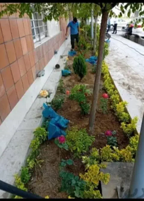 خدمات باغبانی گلکاری هرس کاری تعویض خاک گلدان|خدمات باغبانی و درختکاری|تهران, یوسف‌آباد|دیوار