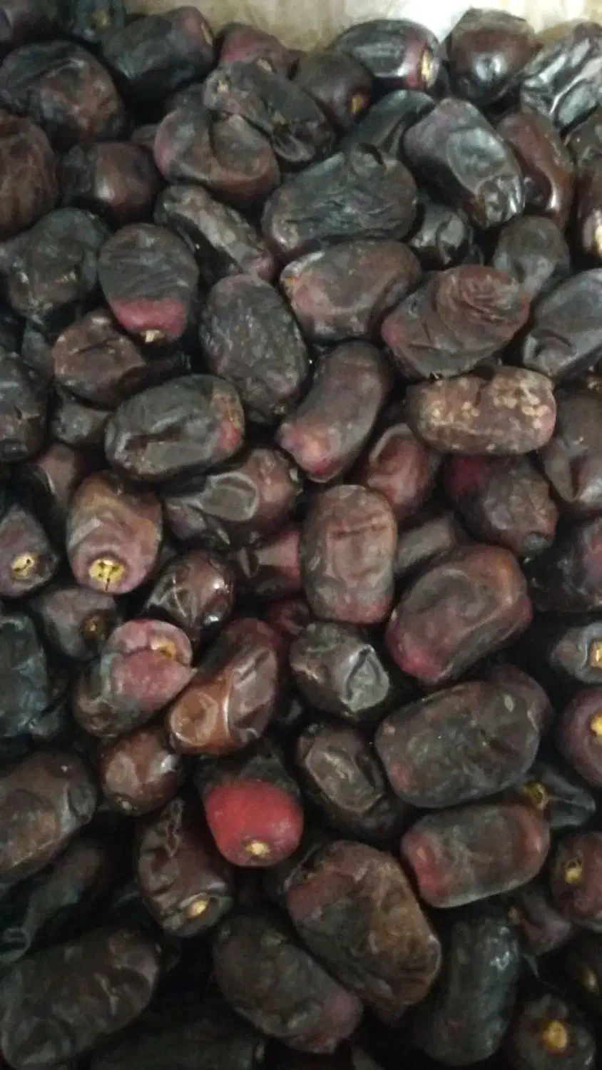 خرما/خرما مضافتی/بم/ریگان/فروش|خوردنی و آشامیدنی|ریگان, |دیوار