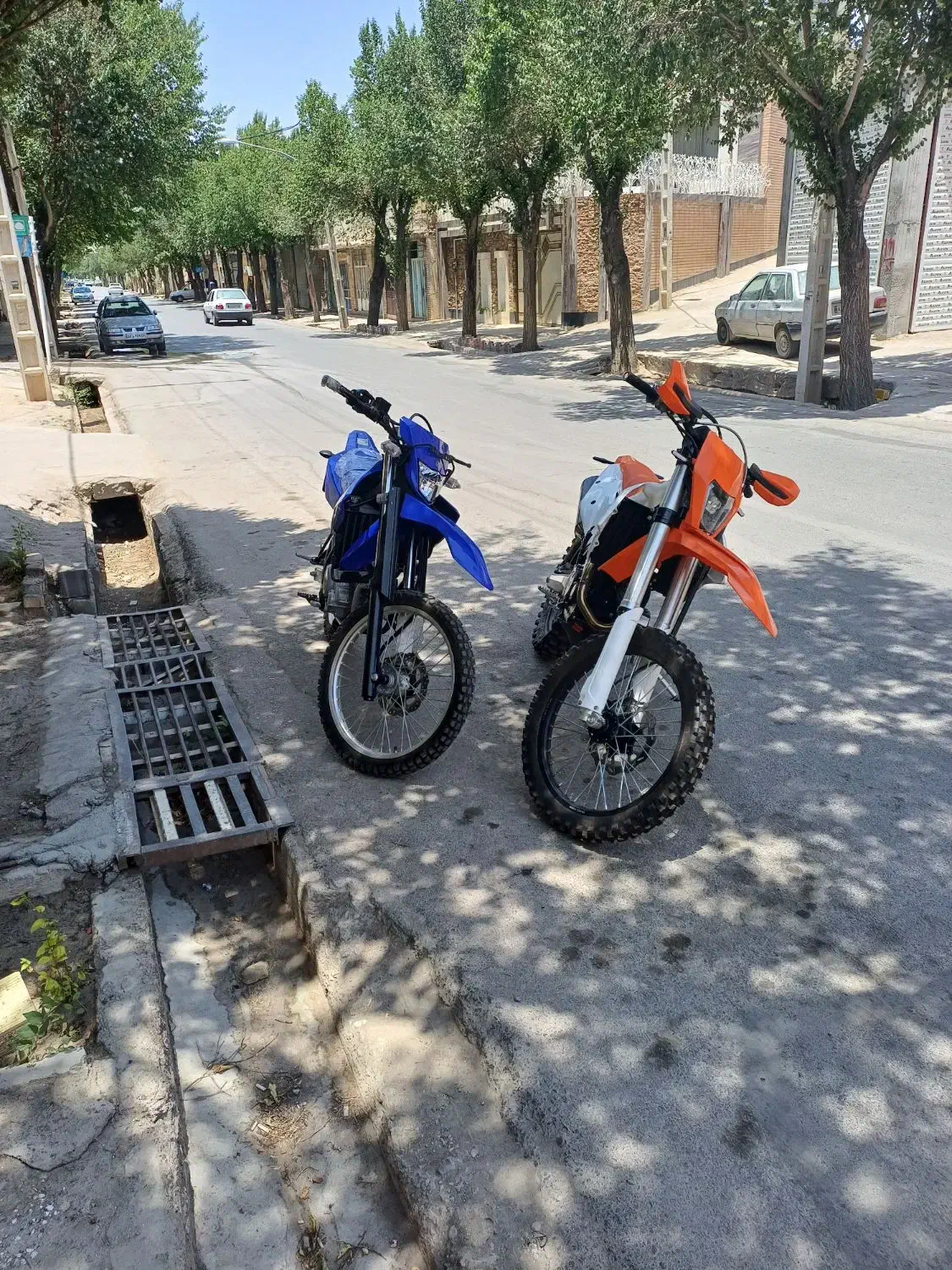 برمودا ۲۵۰|موتورسیکلت|شهرضا, |دیوار