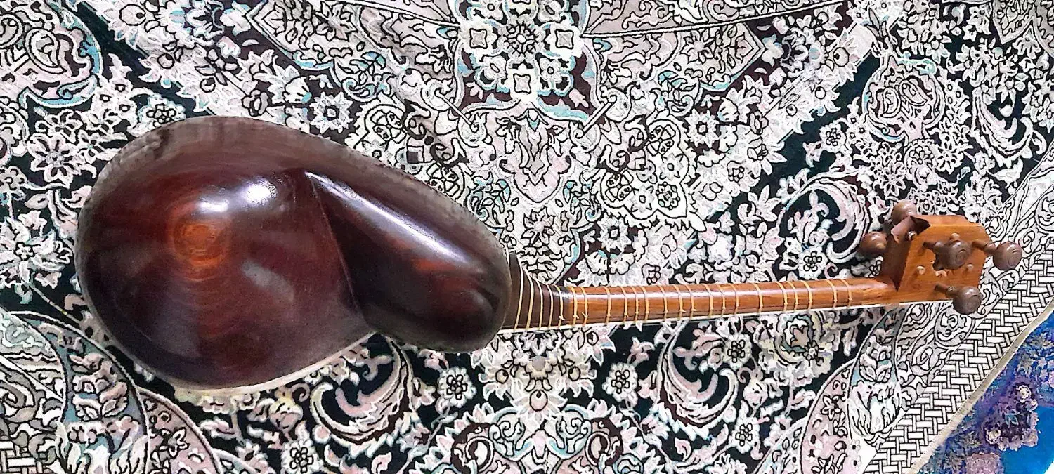 تارحرفه ای مهردار|سازهای سنتی|تهران, فردوس|دیوار