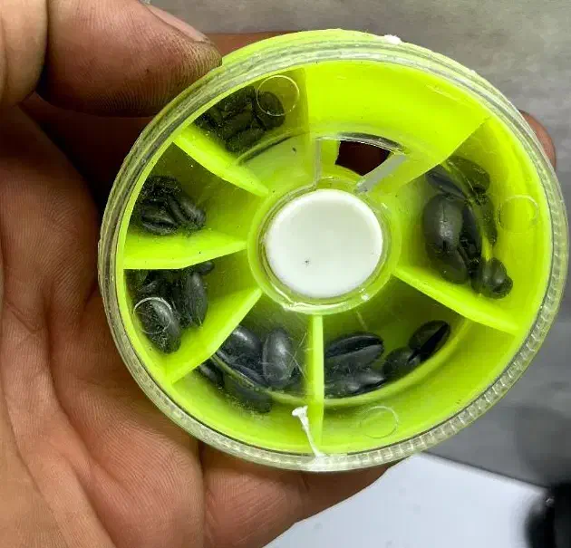 سرب چاکدار گندمی نرم وارداتی|ماهیگیری|تبریز, |دیوار