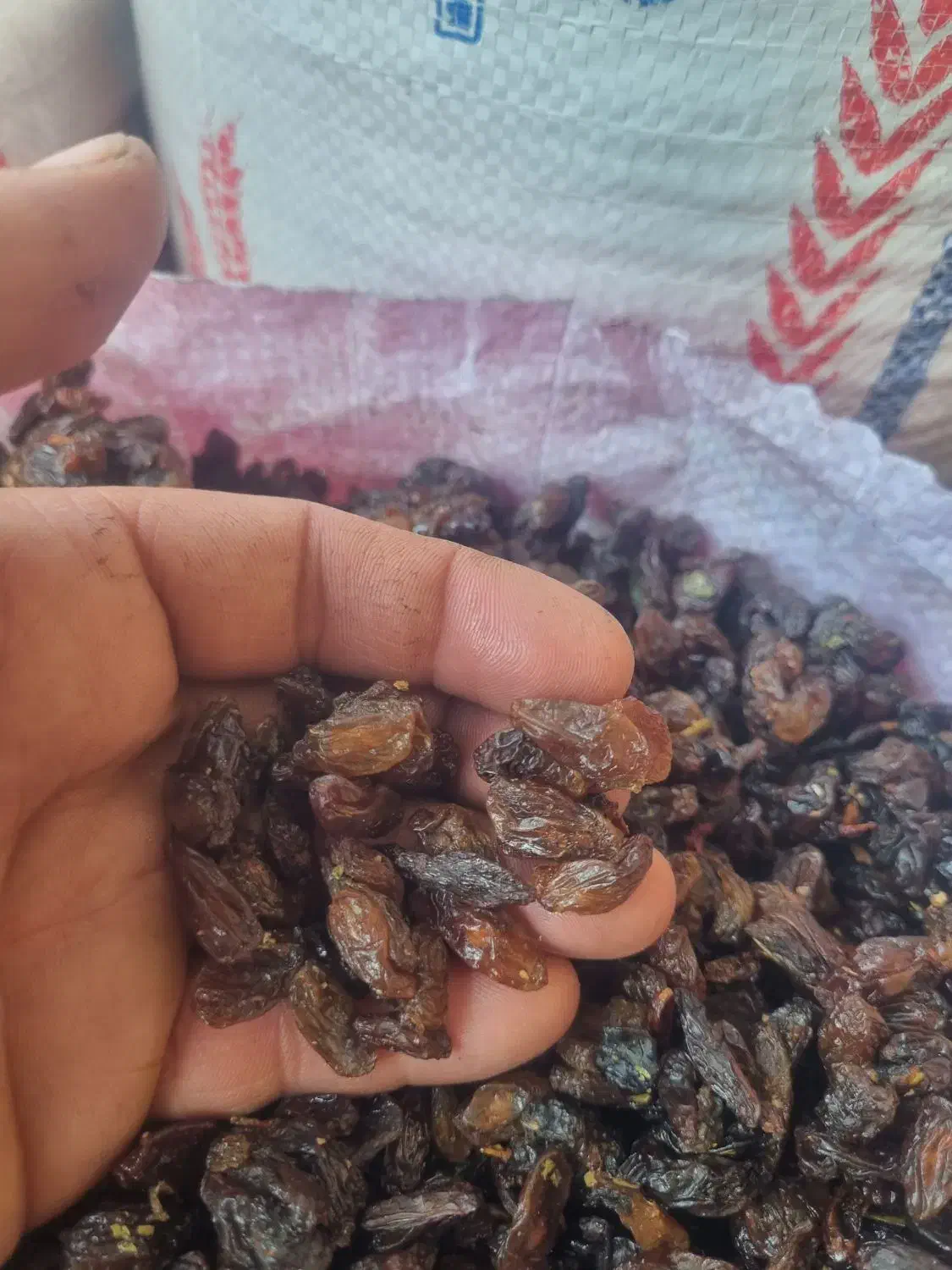 کشمش کاشمر درجه ۱ تازه امسالی عمده عمده|عمده‌فروشی|اردبیل, |دیوار