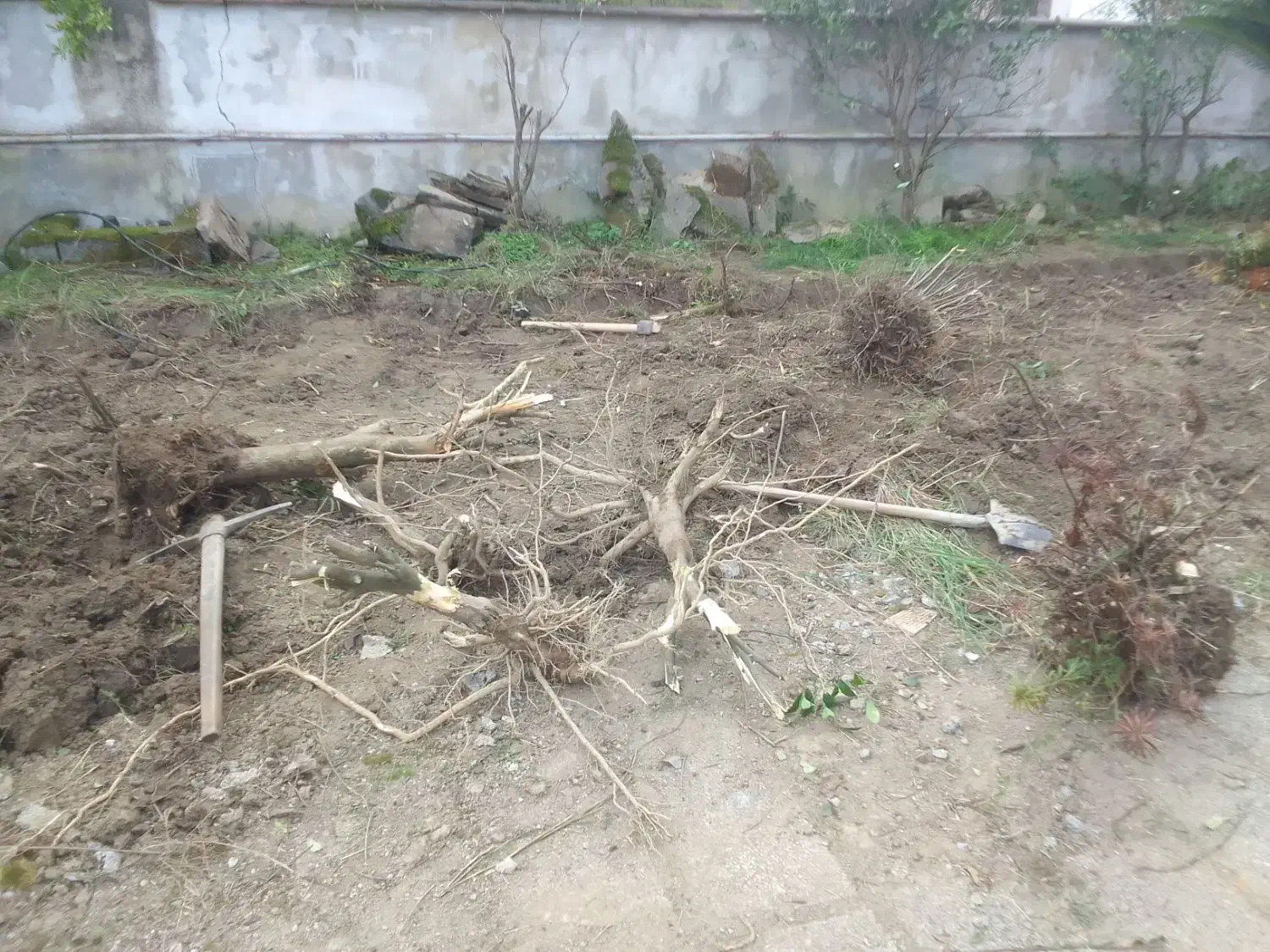 پیمانکاری ویلا ساختمان دیوار چینی|خدمات پیشه و مهارت|چمستان, |دیوار