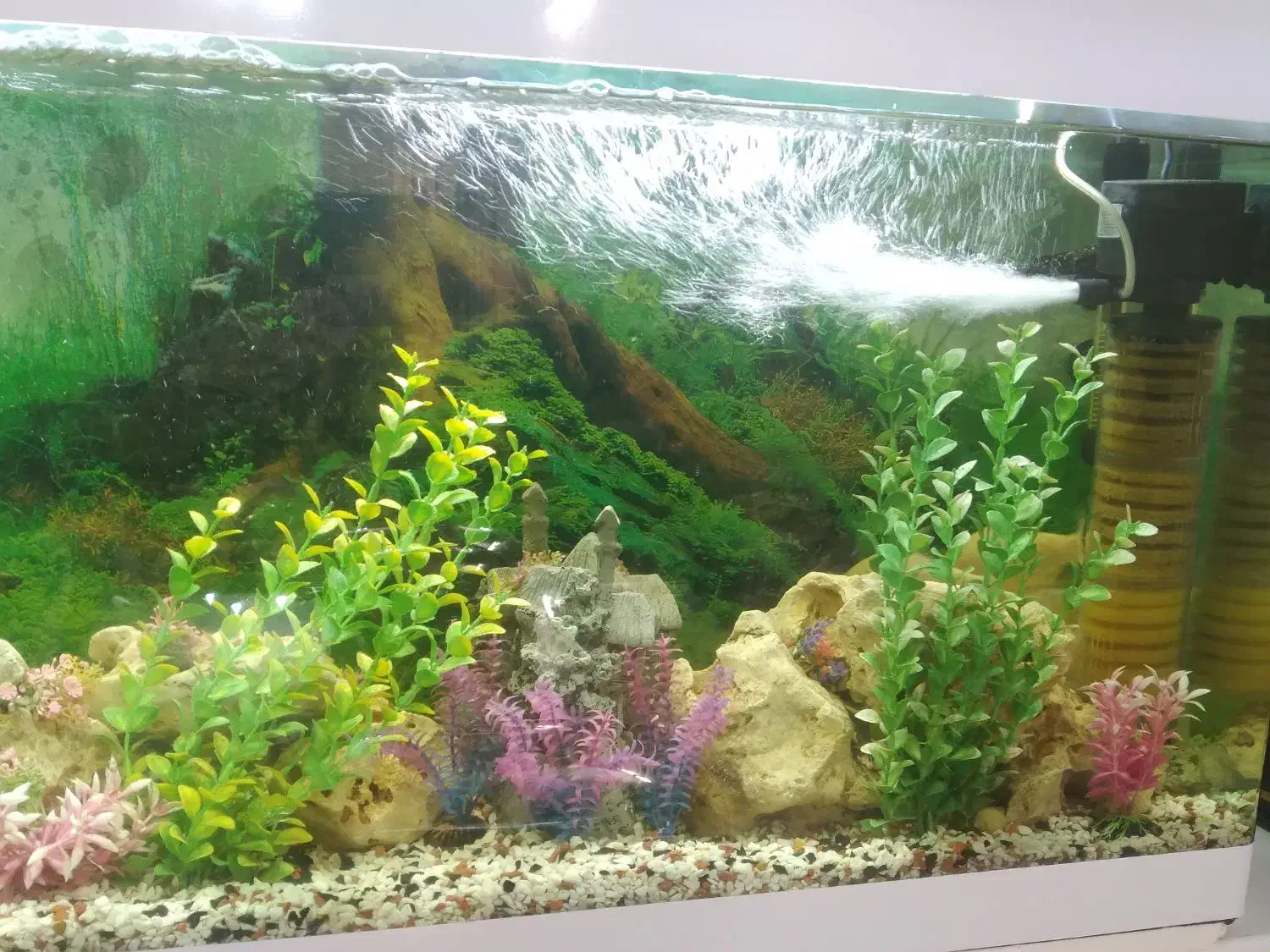 آکواریم|ماهی|اسلام‌شهر, شهرک قائمیه|دیوار