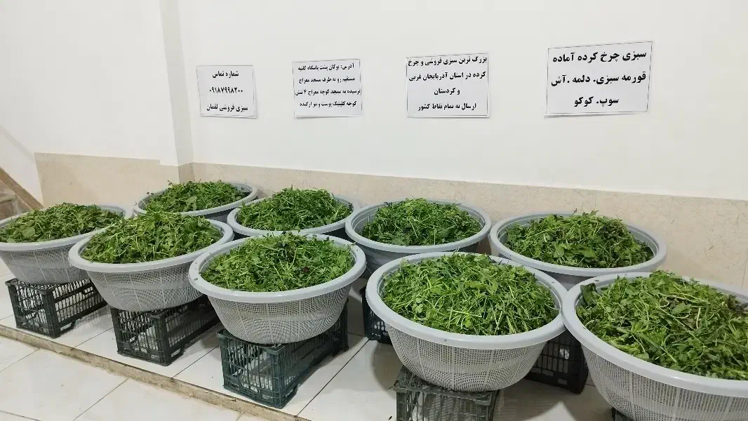 سبزی چرخ کرده خام اماده دربسته ۱کیلویی۱۰۰هزارتومان|خوردنی و آشامیدنی|بوکان, |دیوار