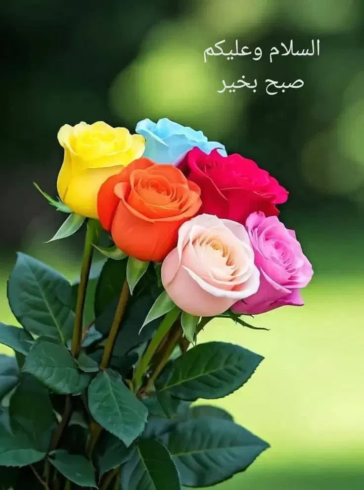 یه لنگ گوشواره گم کردم|جواهرات|بندر گناوه, |دیوار