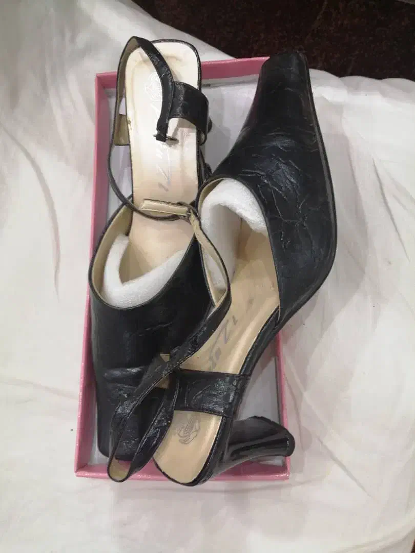 کفش|کیف، کفش، کمربند|بوشهر, |دیوار