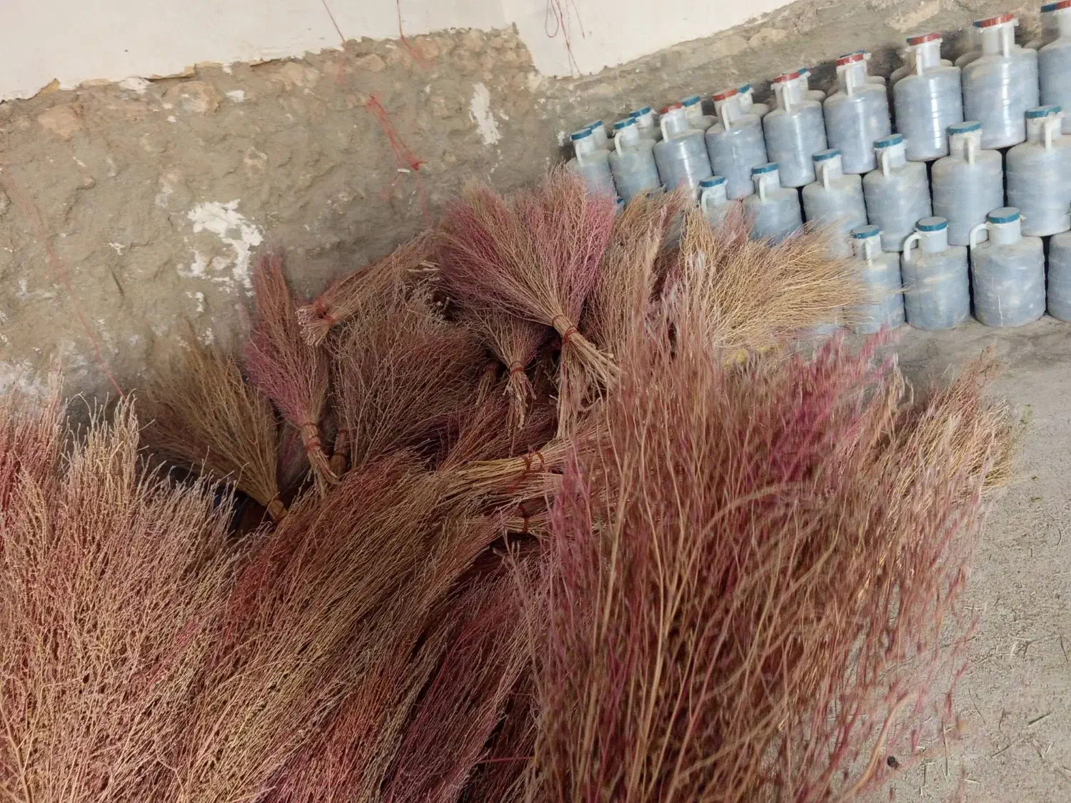 ۱۷۰تا جارو شیرازی (فر.وش یکجا)|جاروبرقی، جارو شارژی، بخارشو|کبودرآهنگ, |دیوار