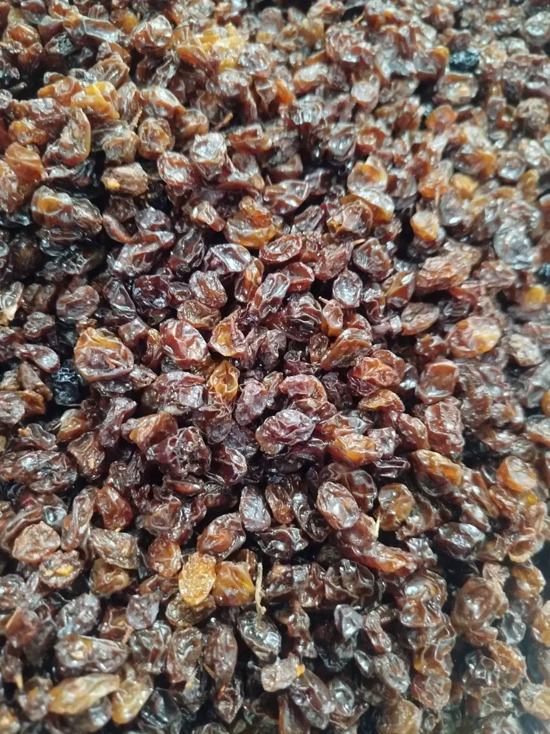 کشمش  تمیز|خوردنی و آشامیدنی|یاسوج, |دیوار