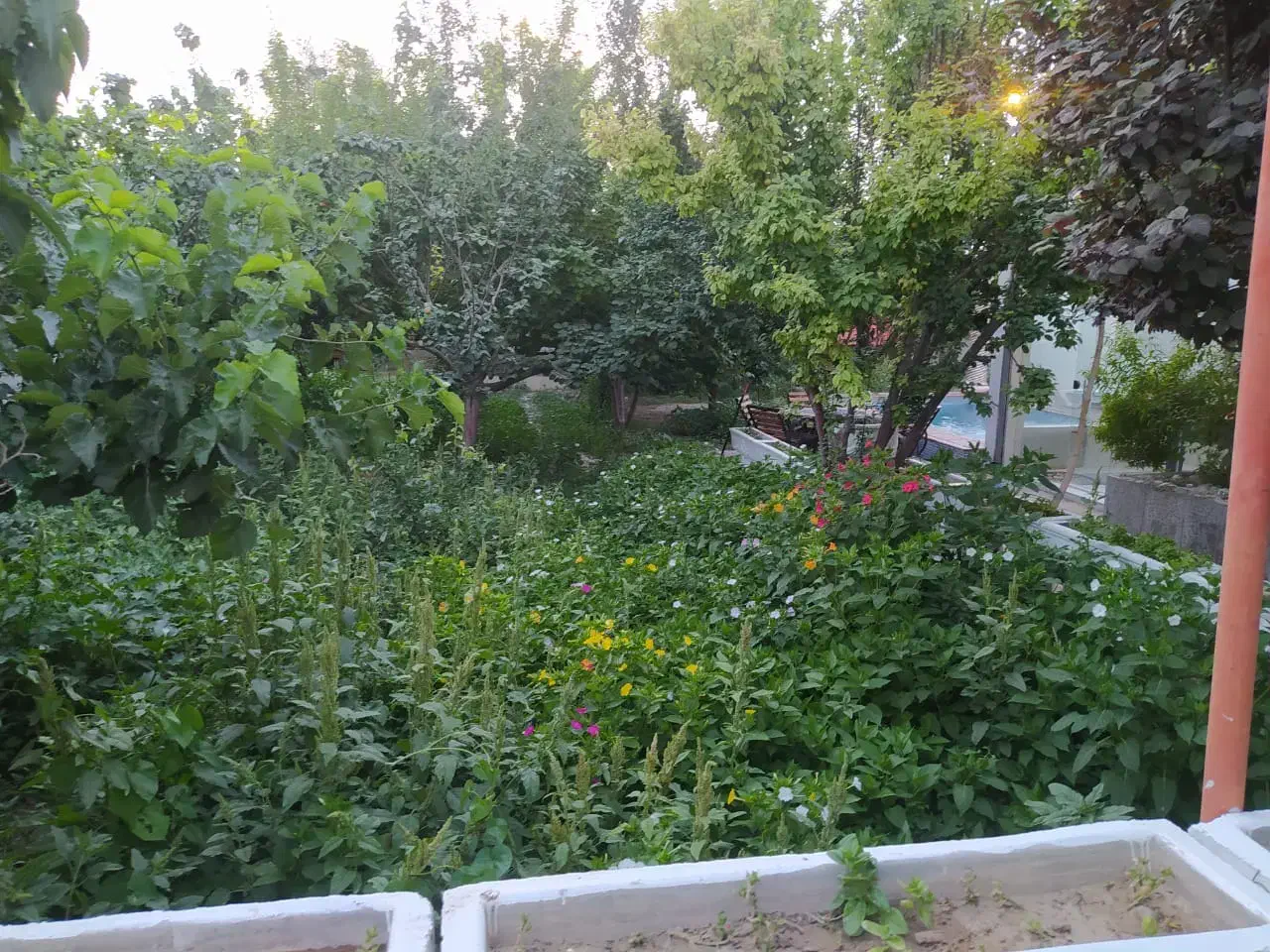 باغ در دل اصفهان استخر آبگرم|اجارهٔ کوتاه‌مدت ویلا و باغ|اصفهان, باغ دریاچه|دیوار