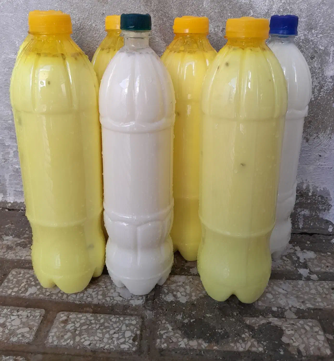 کره و دوغ محلی|خوردنی و آشامیدنی|بیلوار, |دیوار