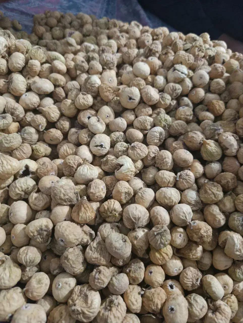 انجیر استهبان|خوردنی و آشامیدنی|سروستان, |دیوار