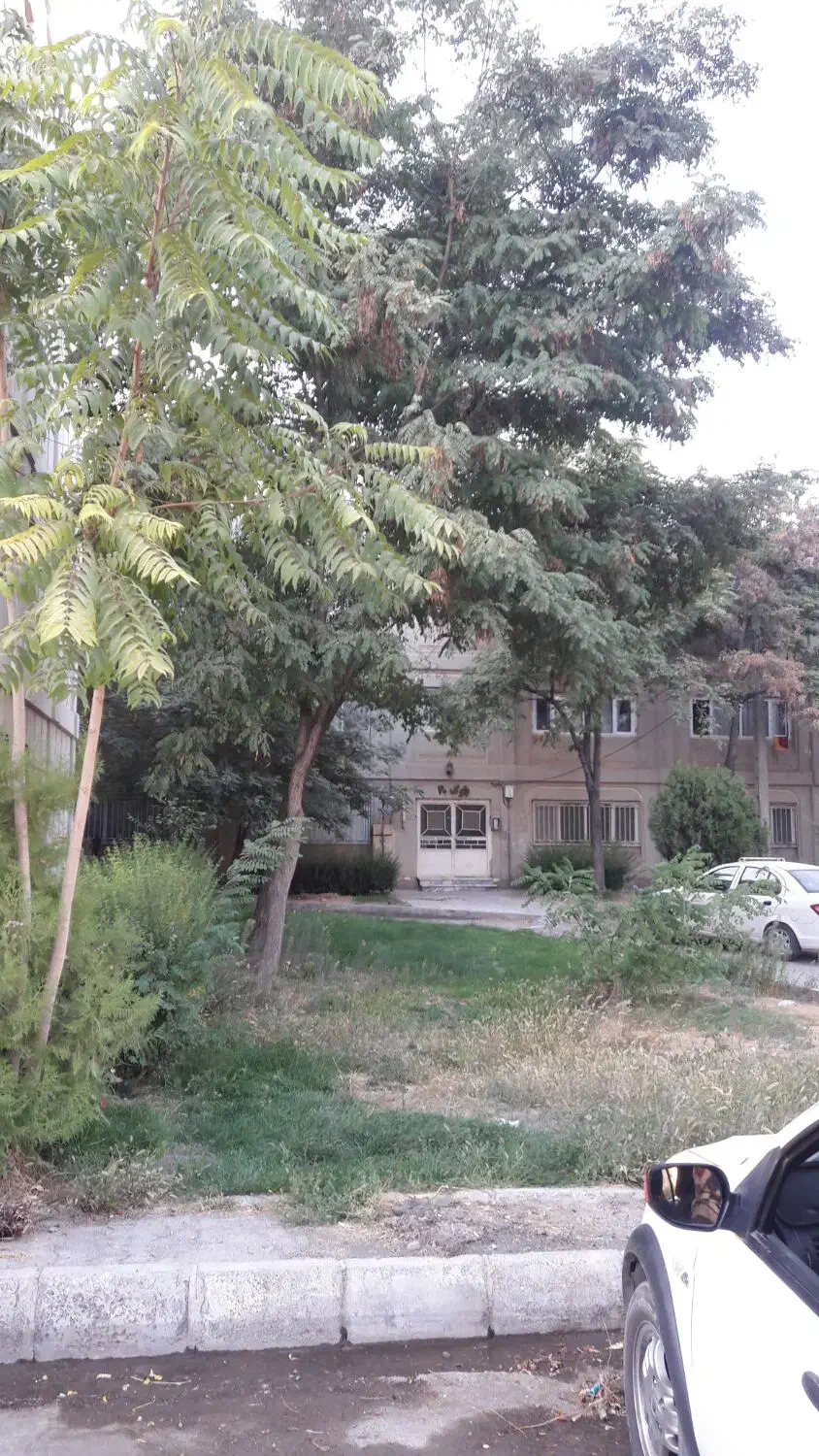 آپارتمان های لاله/۵۸متری یک خواب/مرکز شهر|اجارهٔ آپارتمان|گلبهار, شهر جدید گلبهار|دیوار