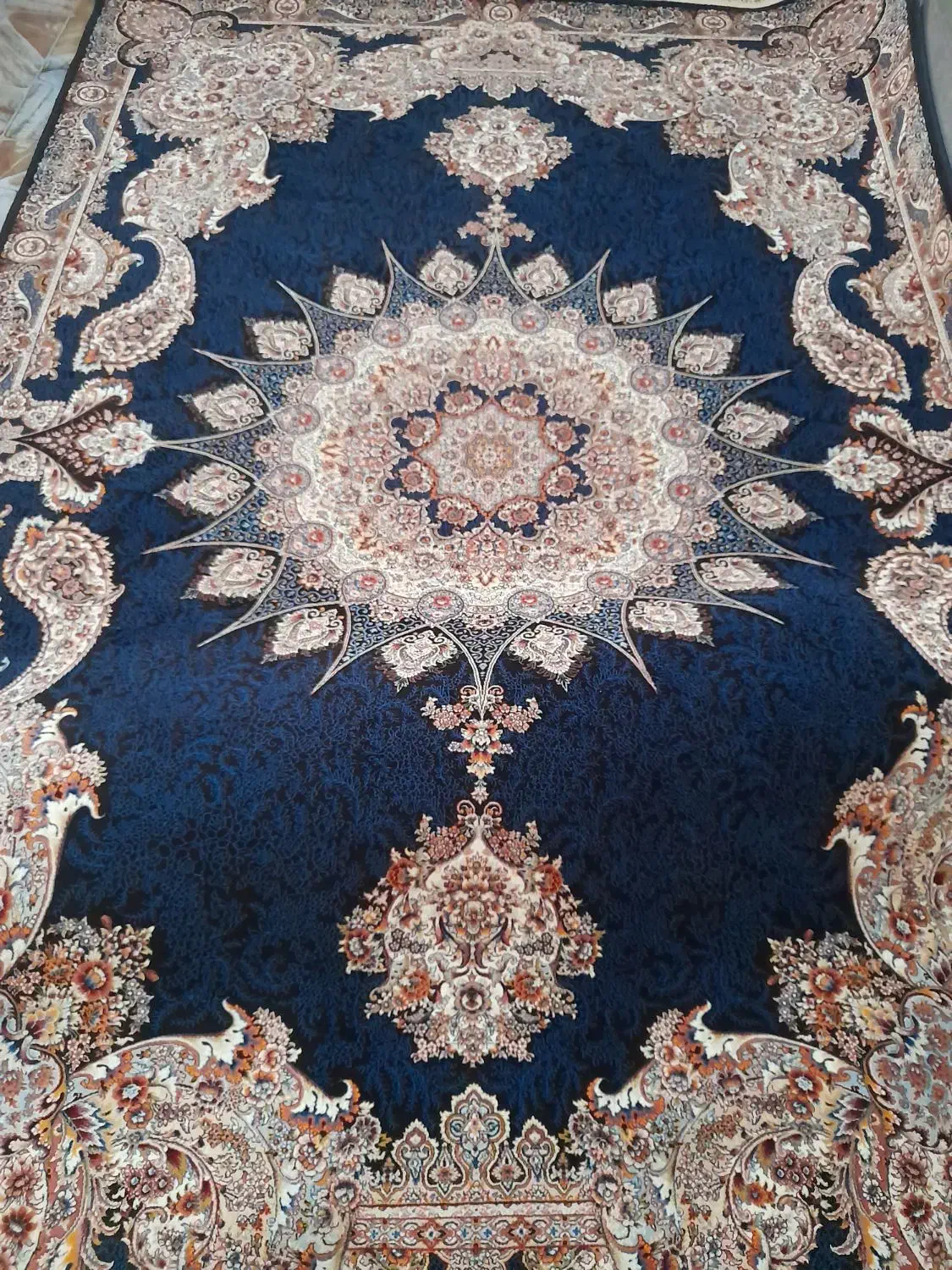 قالی ۶ متری|فرش|مریوان, |دیوار