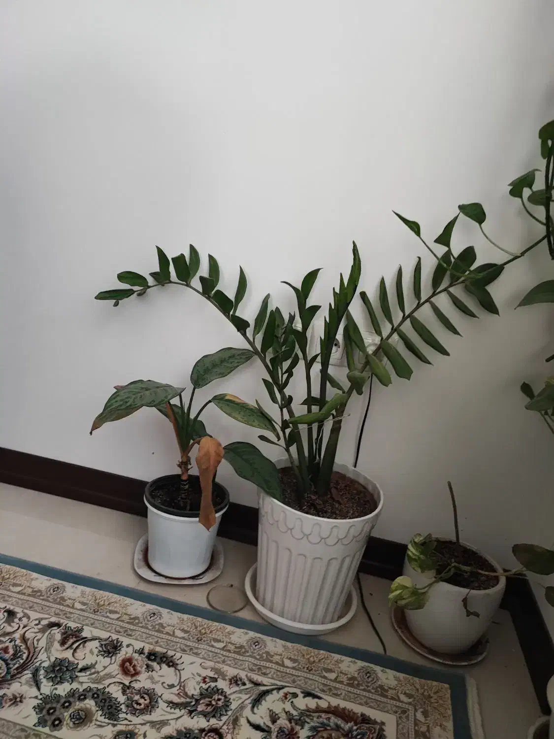 اجاره مغازه|اجارهٔ مغازه و غرفه|قم, بنیاد|دیوار