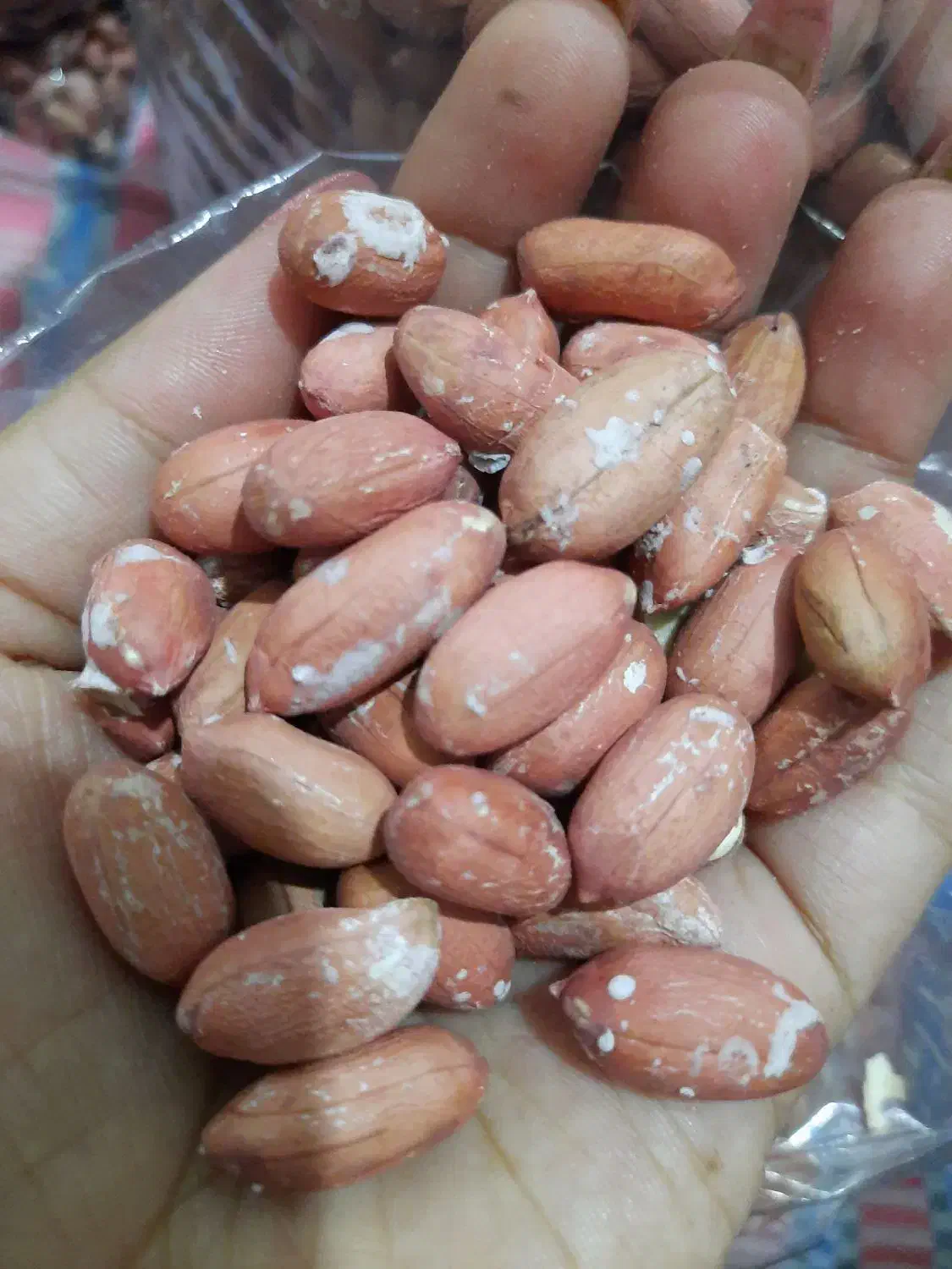 بادام زمینی آستانه|خوردنی و آشامیدنی|قرچک, مهدیه|دیوار